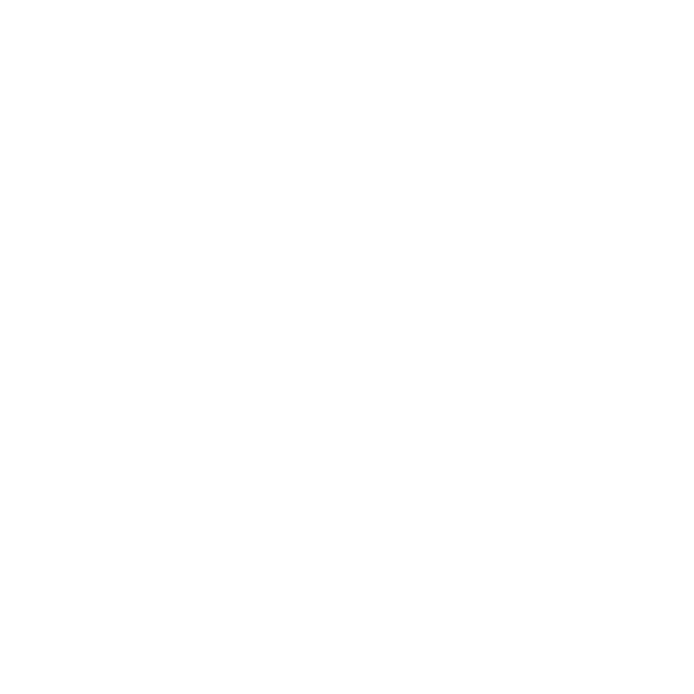 Google Ads Icon