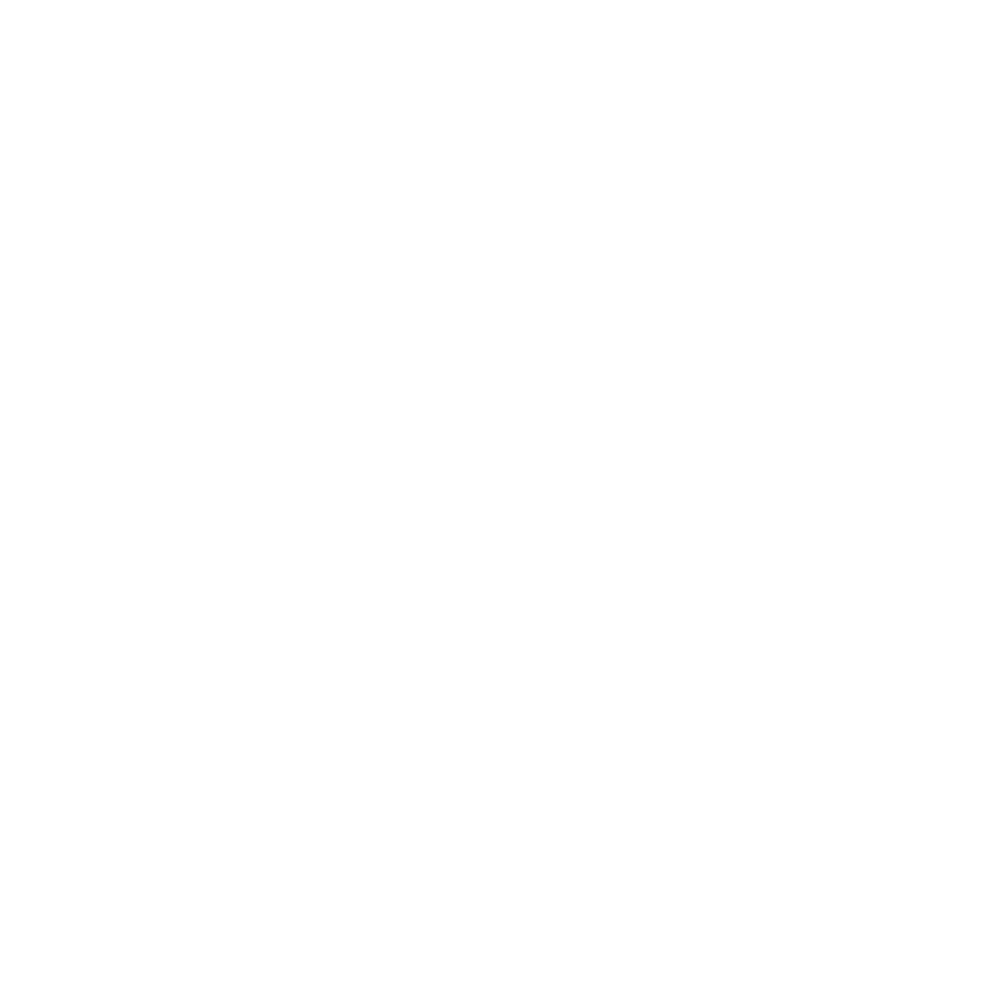 SEO Icon